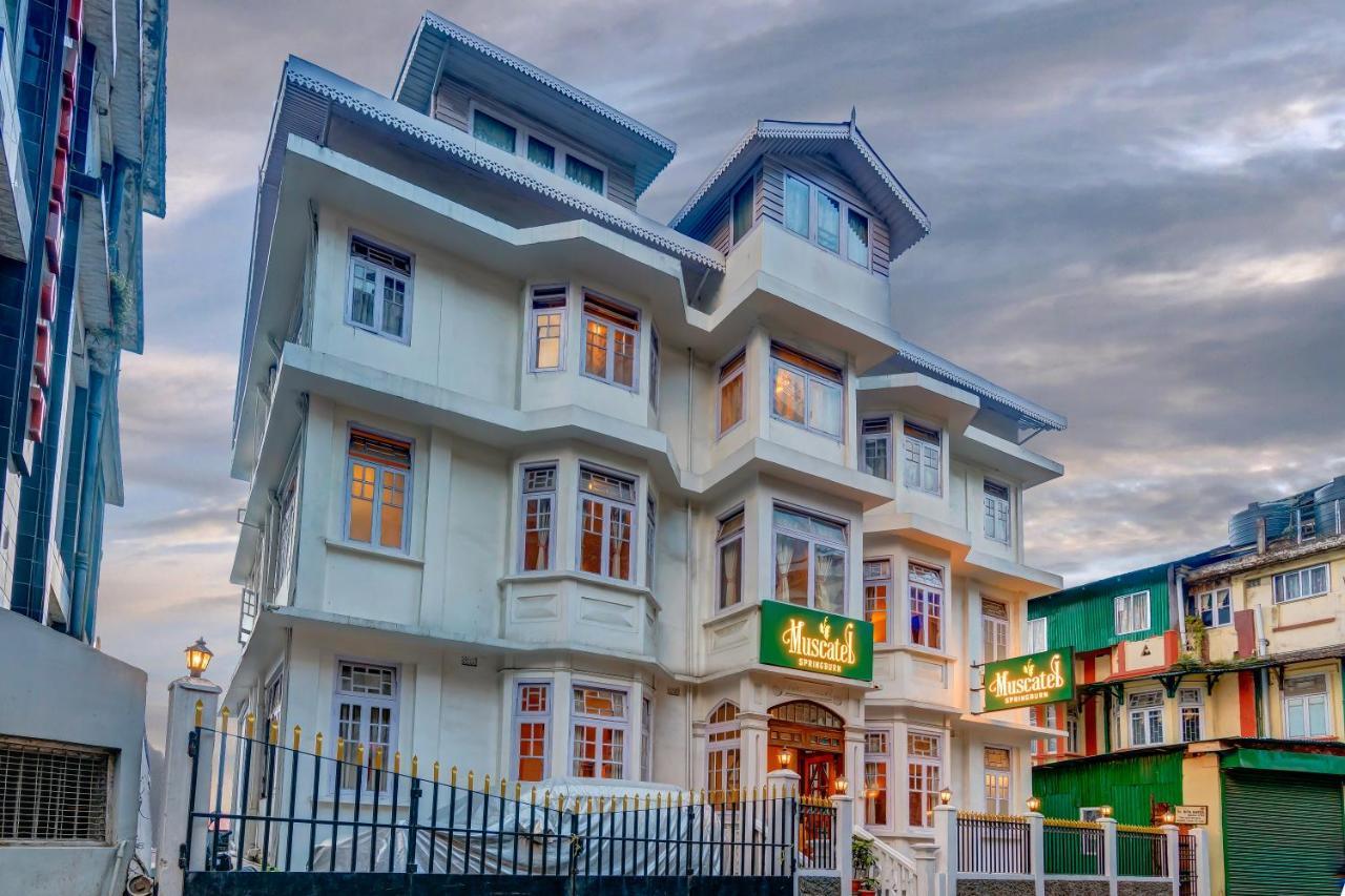 Muscatel Spring Burn - 100 Mts From Mall Road Darjeeling  Bagian luar foto